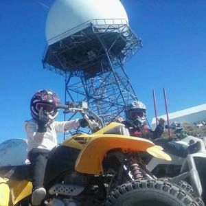 Meet your Posher, Guston